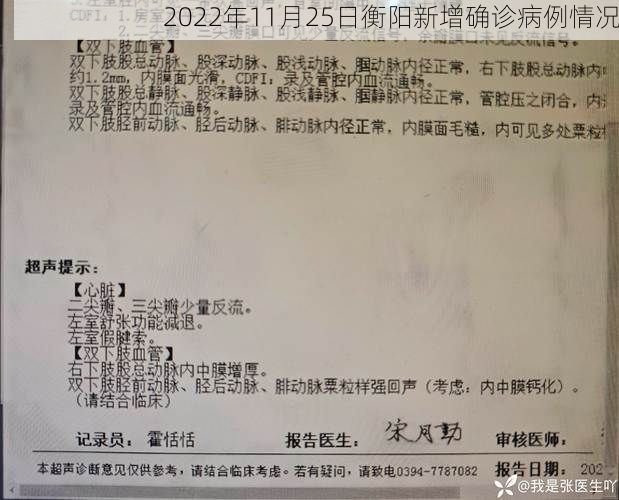 2022年11月25日衡阳新增确诊病例情况