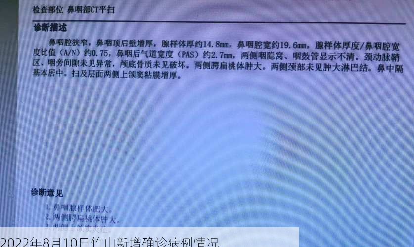 2022年8月10日竹山新增确诊病例情况