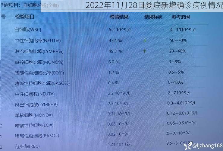 2022年11月28日娄底新增确诊病例情况