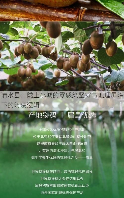 清水县：陇上小城的零感染坚守与地理屏障下的防疫逻辑
