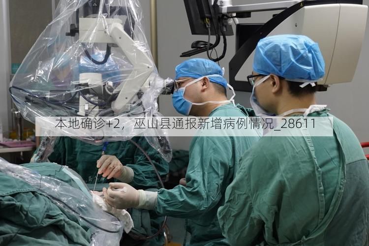 本地确诊+2，巫山县通报新增病例情况_28611