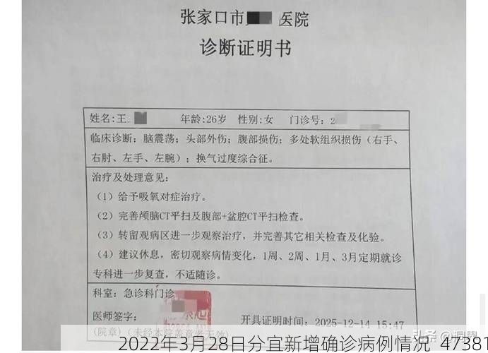 2022年3月28日分宜新增确诊病例情况_47381