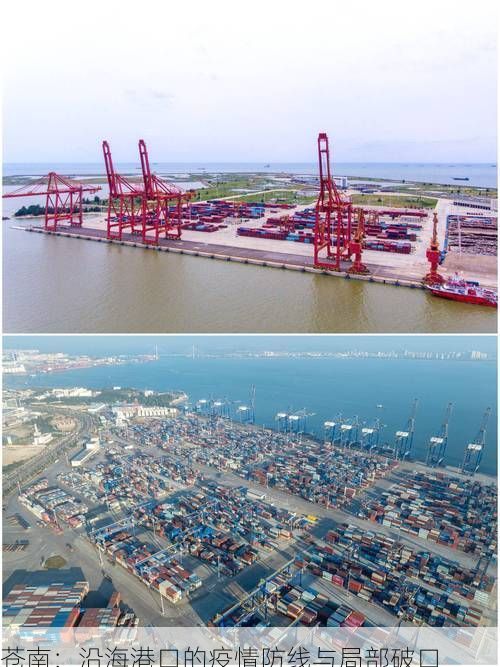苍南：沿海港口的疫情防线与局部破口