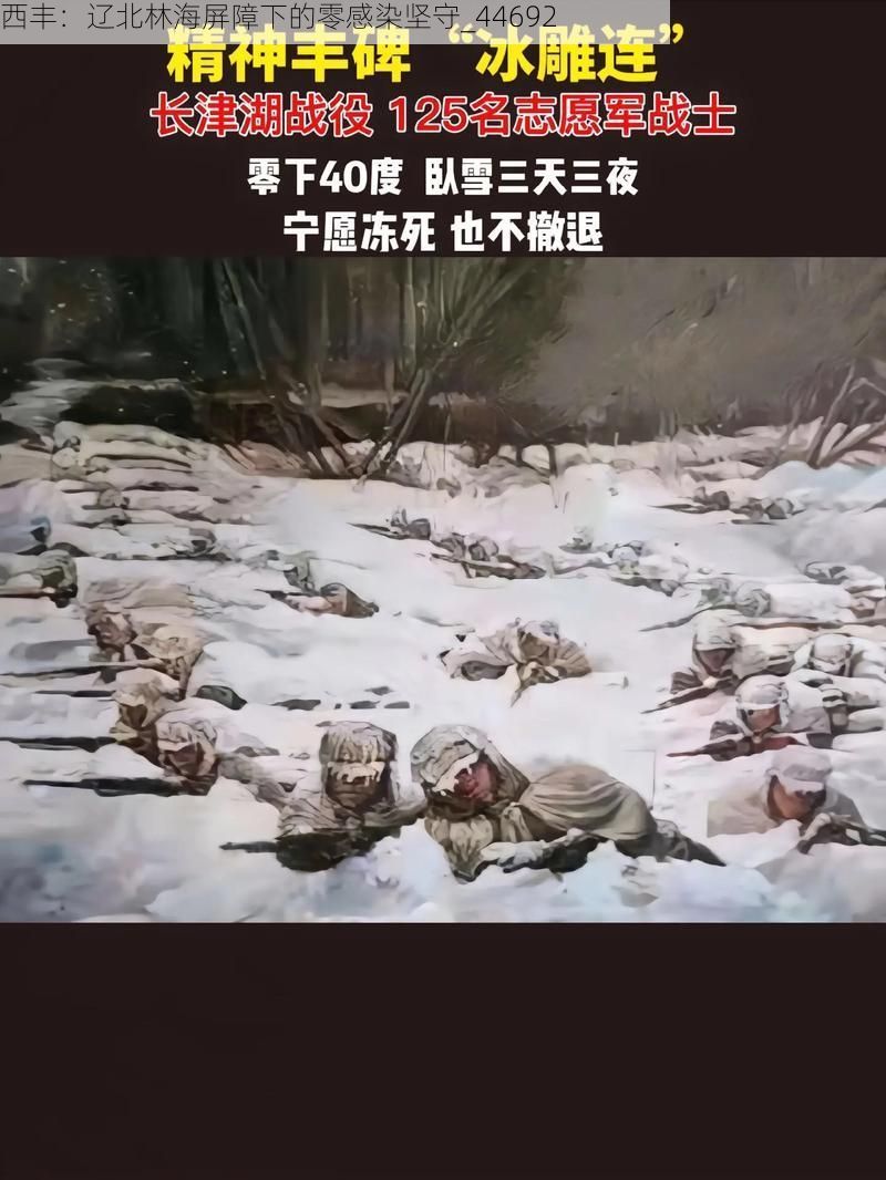 西丰:辽北林海屏障下的零感染坚守_44692