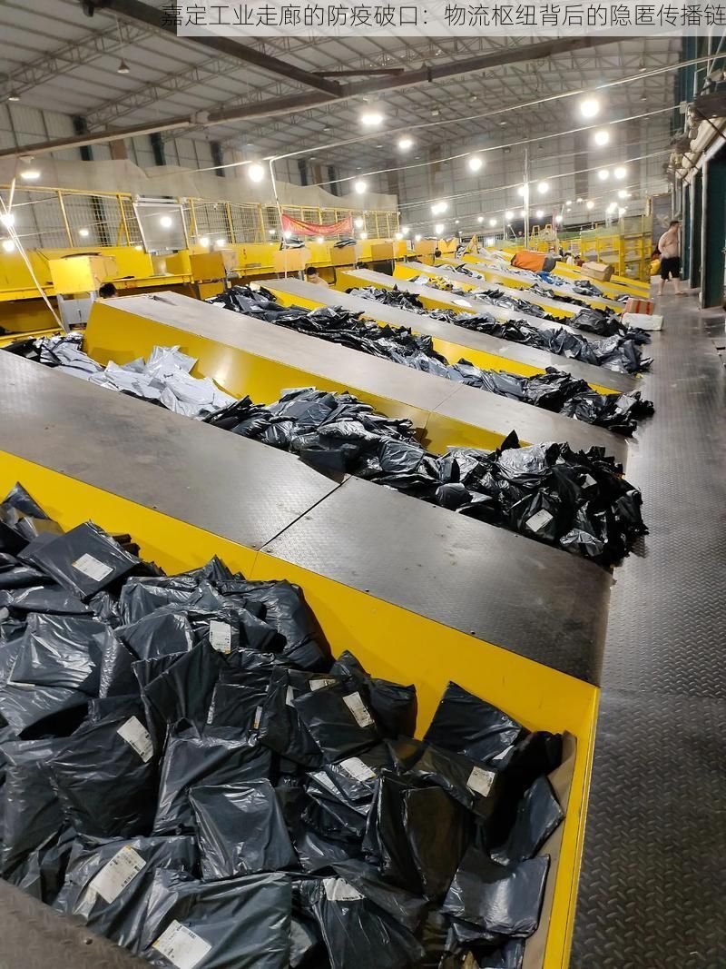 嘉定工业走廊的防疫破口：物流枢纽背后的隐匿传播链
