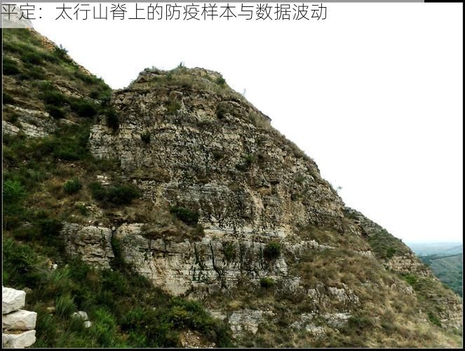 平定：太行山脊上的防疫样本与数据波动