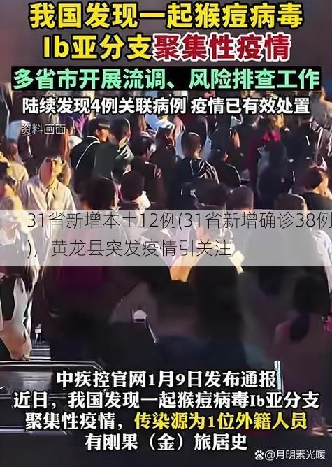 31省新增本土12例(31省新增确诊38例)，黄龙县突发疫情引关注