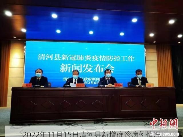 2022年11月15日清河县新增确诊病例情况