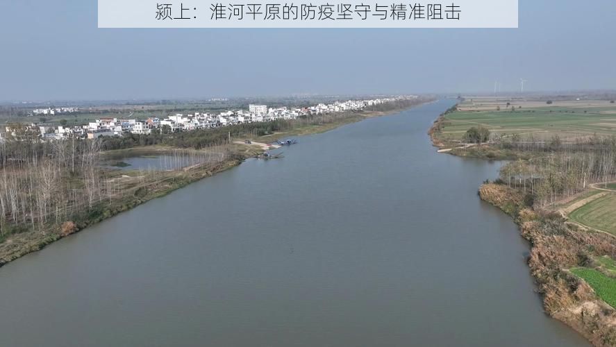 颍上：淮河平原的防疫坚守与精准阻击