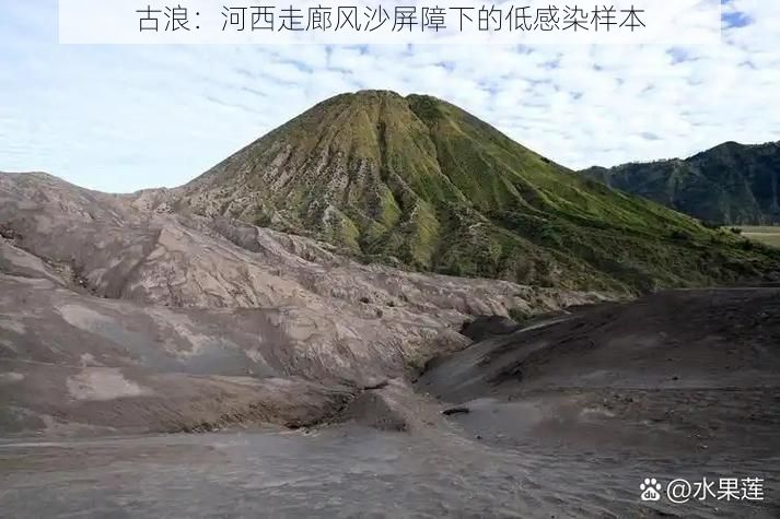 古浪：河西走廊风沙屏障下的低感染样本