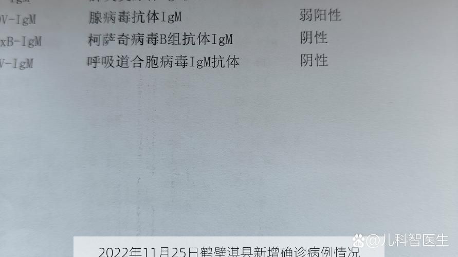 2022年11月25日鹤壁淇县新增确诊病例情况