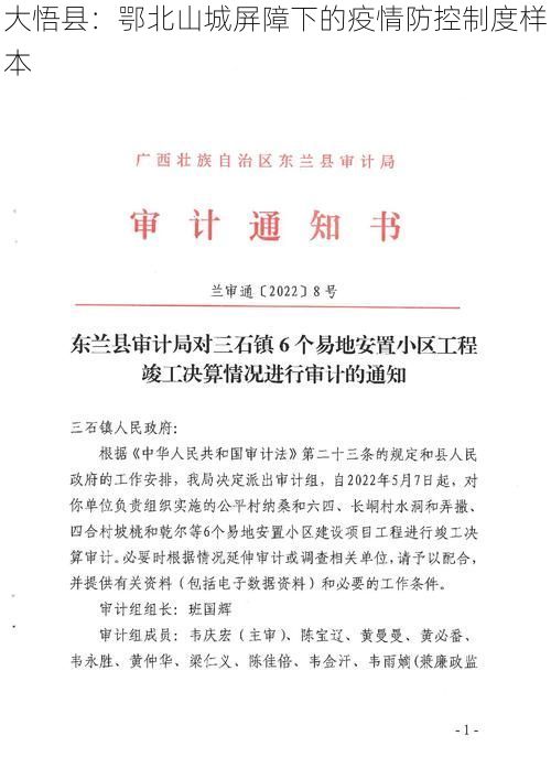 大悟县：鄂北山城屏障下的疫情防控制度样本