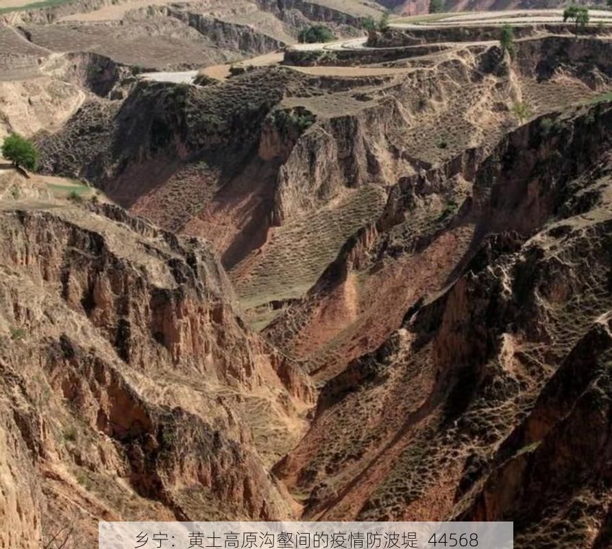 乡宁：黄土高原沟壑间的疫情防波堤_44568