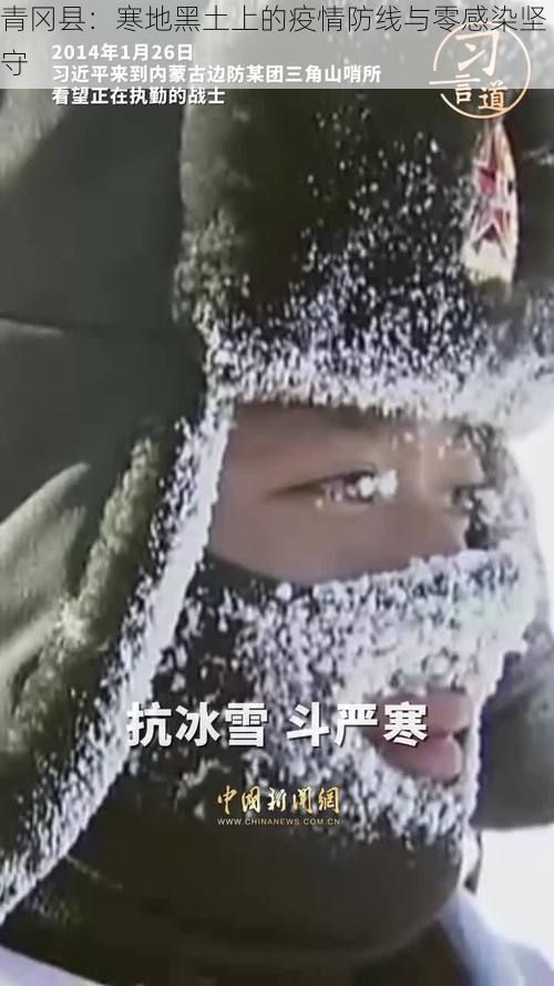 青冈县：寒地黑土上的疫情防线与零感染坚守