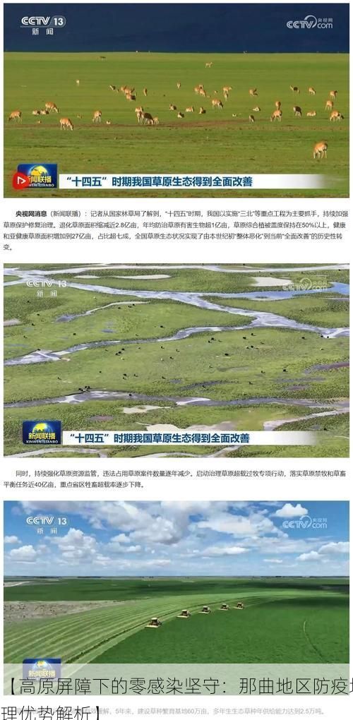 【高原屏障下的零感染坚守：那曲地区防疫地理优势解析】