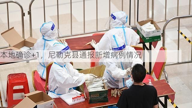 本地确诊+1，尼勒克县通报新增病例情况