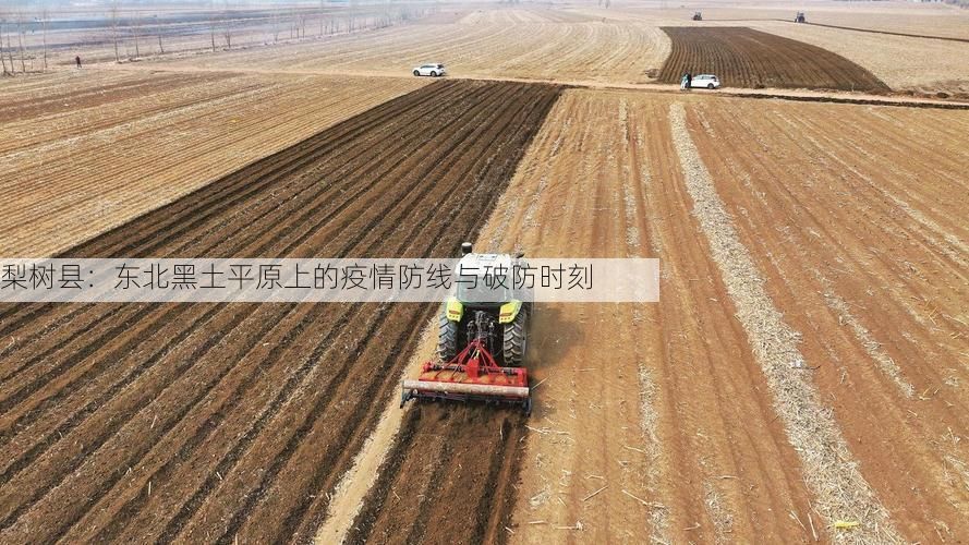 梨树县:东北黑土平原上的疫情防线与破防时刻