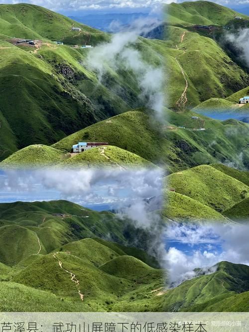 芦溪县：武功山屏障下的低感染样本