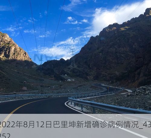 2022年8月12日巴里坤新增确诊病例情况_43252