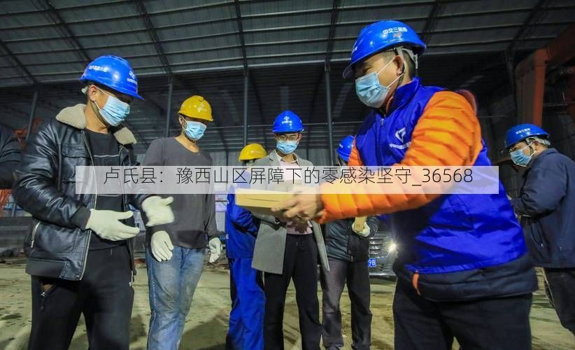 卢氏县:豫西山区屏障下的零感染坚守_36568