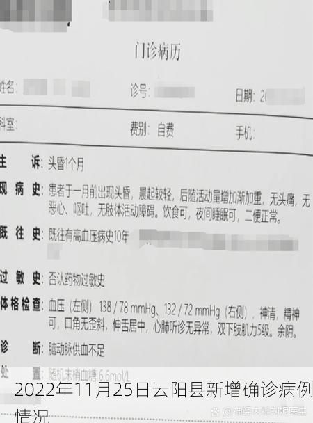 2022年11月25日云阳县新增确诊病例情况