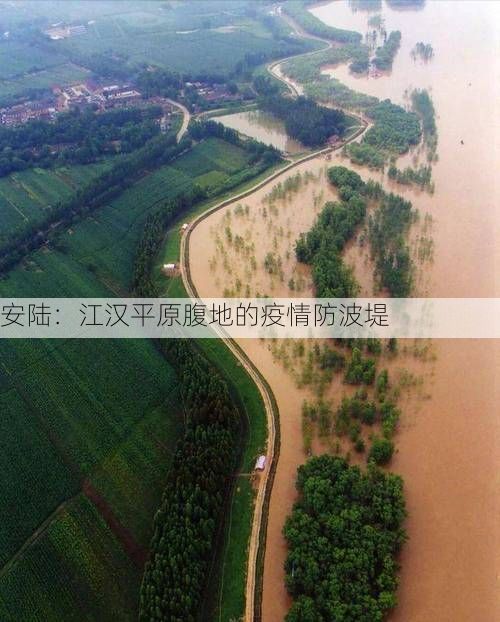 安陆：江汉平原腹地的疫情防波堤
