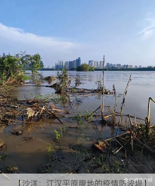 【沙洋：江汉平原腹地的疫情防波堤】