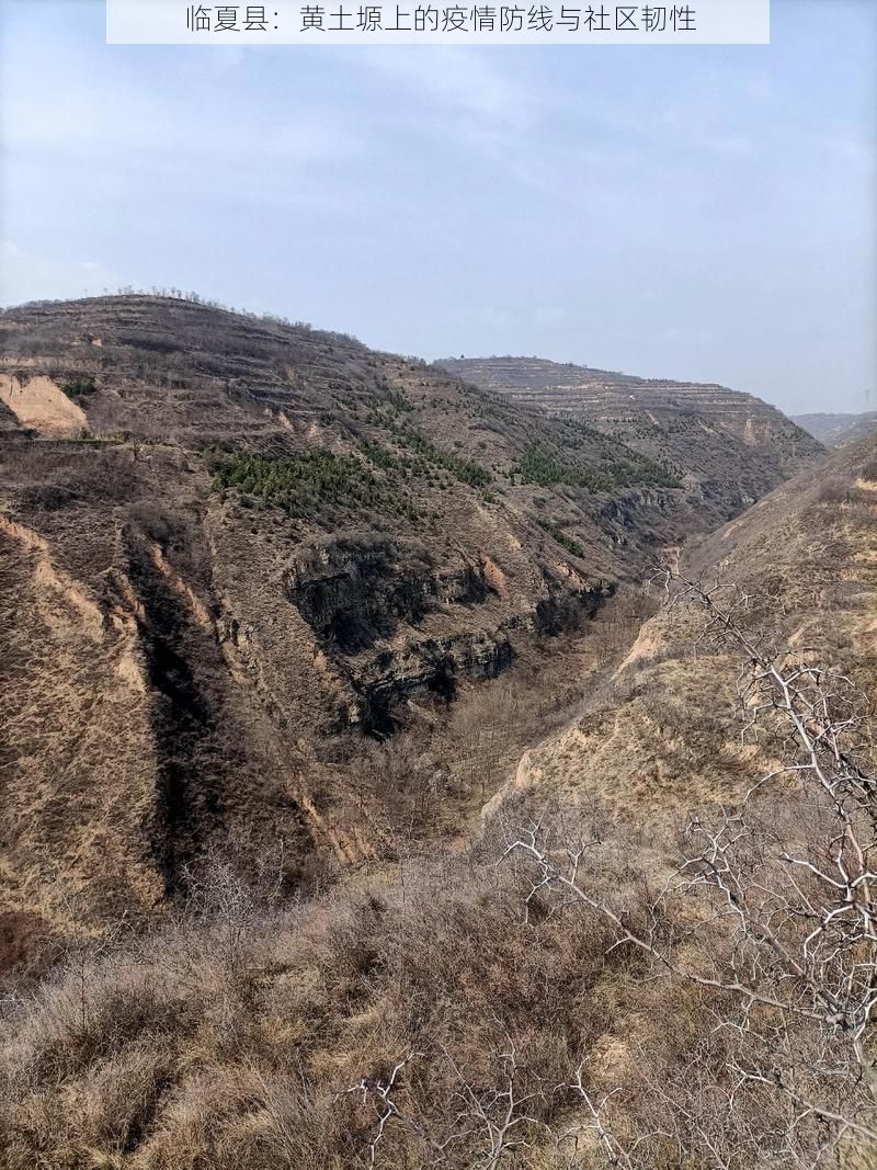 临夏县：黄土塬上的疫情防线与社区韧性