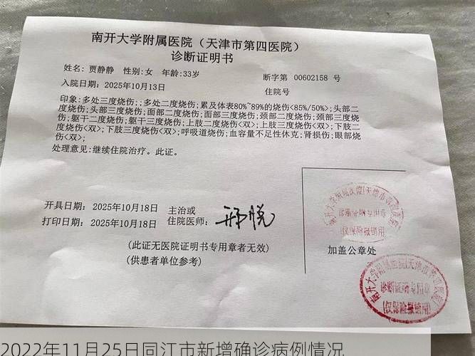 2022年11月25日同江市新增确诊病例情况