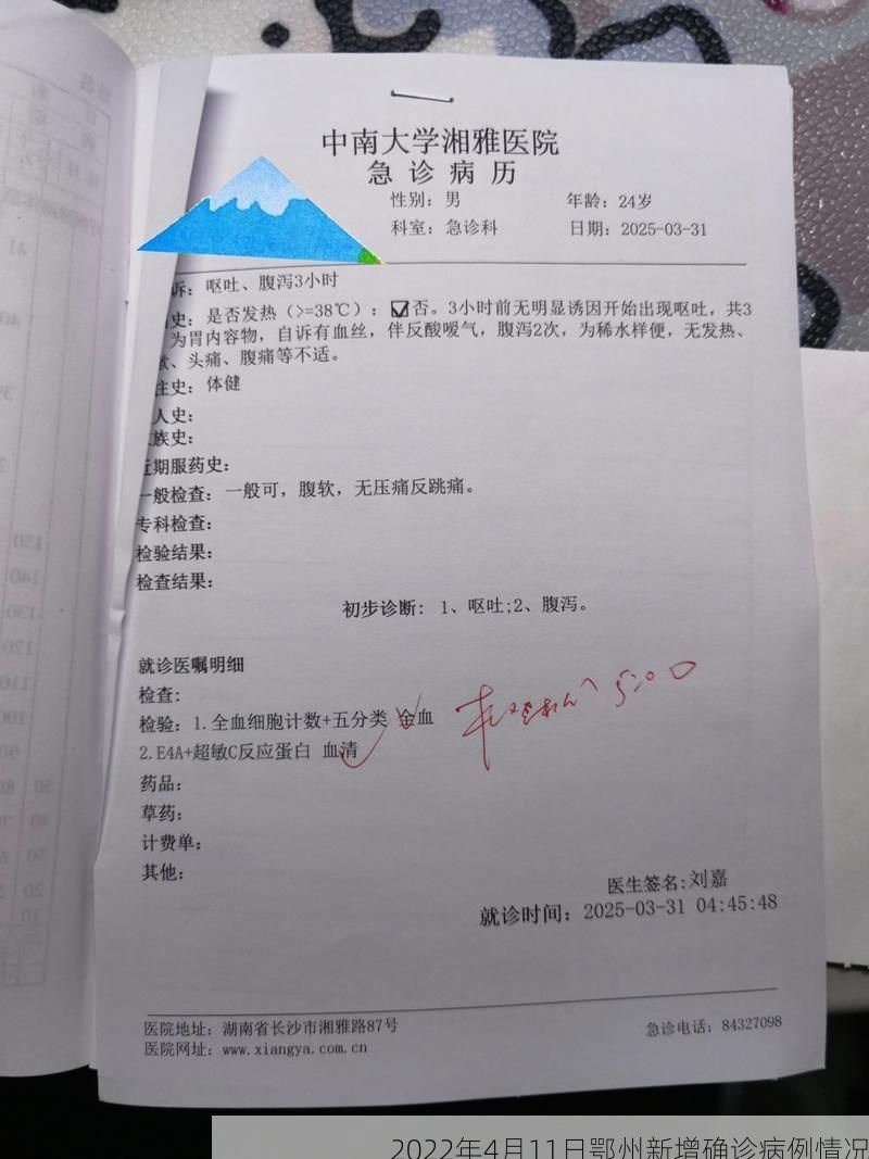 2022年4月11日鄂州新增确诊病例情况