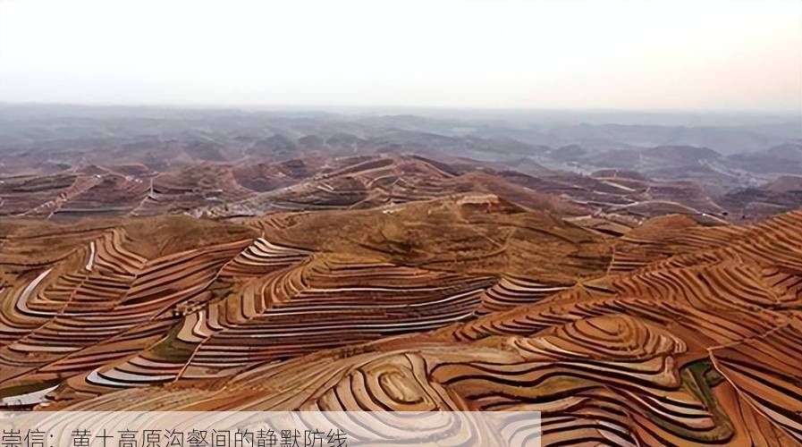 崇信：黄土高原沟壑间的静默防线