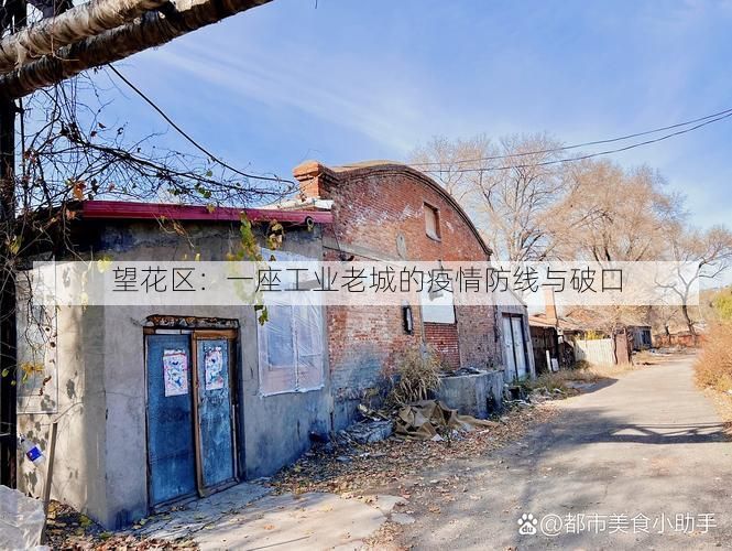 望花区：一座工业老城的疫情防线与破口