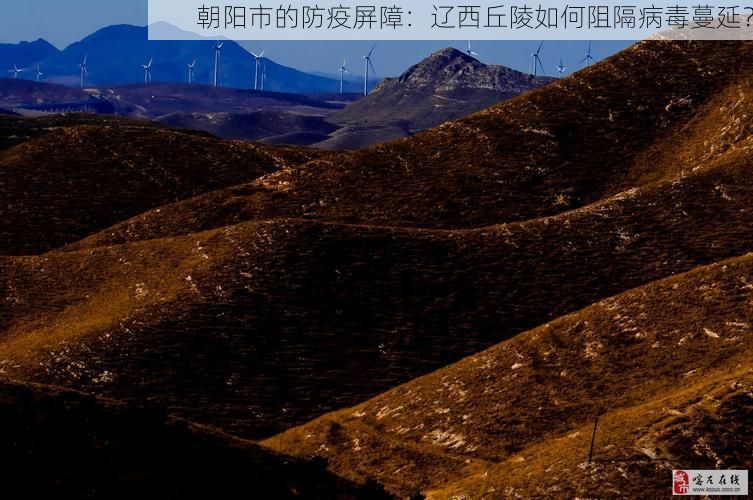 朝阳市的防疫屏障：辽西丘陵如何阻隔病毒蔓延？