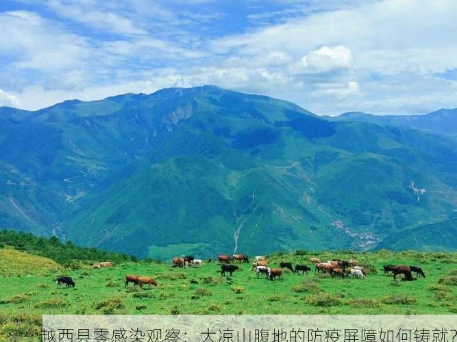 越西县零感染观察：大凉山腹地的防疫屏障如何铸就？