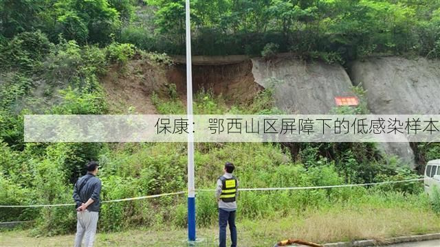 保康：鄂西山区屏障下的低感染样本