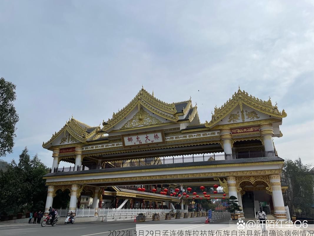 2022年3月29日孟连傣族拉祜族佤族自治县新增确诊病例情况