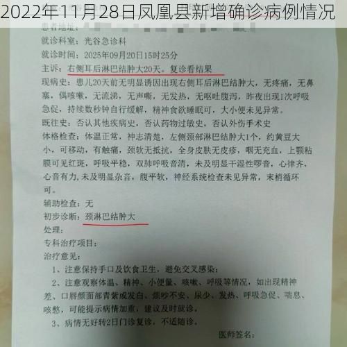 2022年11月28日凤凰县新增确诊病例情况
