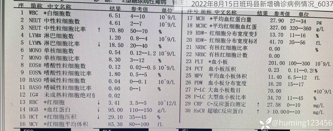 2022年8月15日班玛县新增确诊病例情况_6037