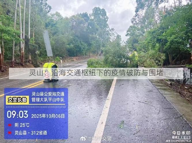 灵山:沿海交通枢纽下的疫情破防与围堵