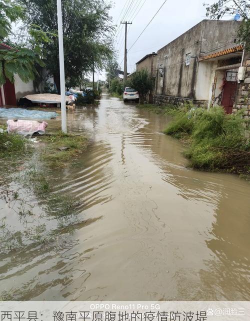 西平县:豫南平原腹地的疫情防波堤