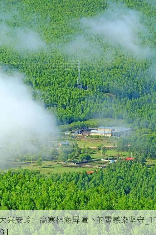 【大兴安岭:高寒林海屏障下的零感染坚守_11779】