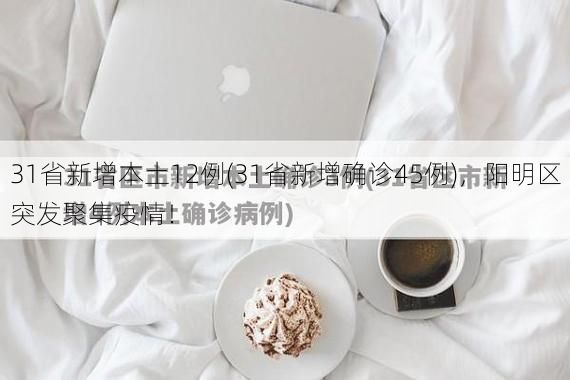 31省新增本土12例(31省新增确诊45例)，阳明区突发聚集疫情！