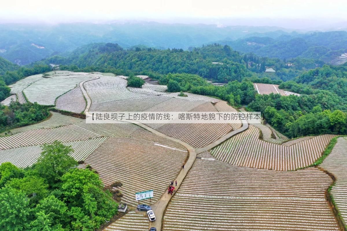 【陆良坝子上的疫情防线：喀斯特地貌下的防控样本】