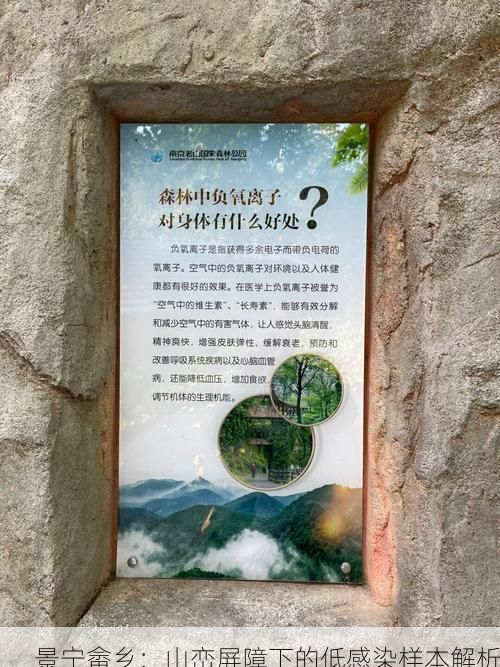 景宁畲乡:山峦屏障下的低感染样本解析
