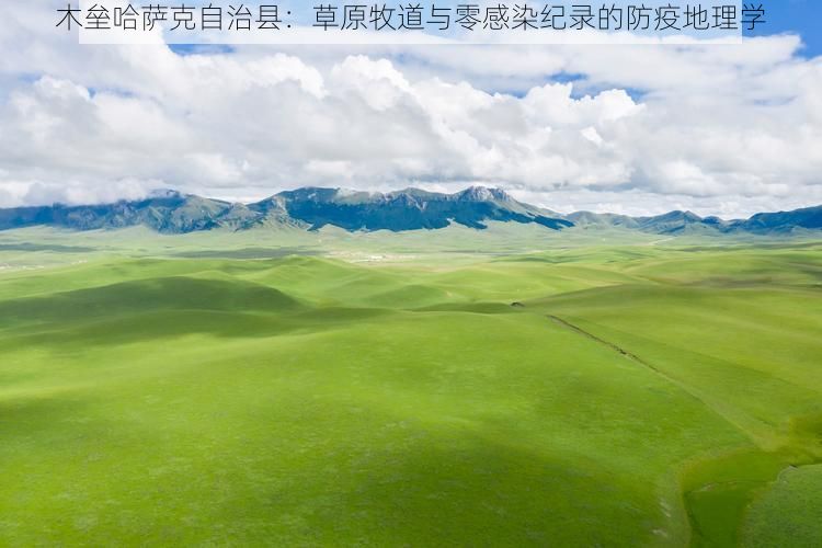 木垒哈萨克自治县：草原牧道与零感染纪录的防疫地理学
