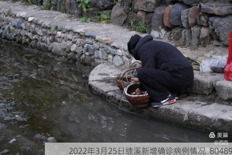 2022年3月25日绩溪新增确诊病例情况_80489