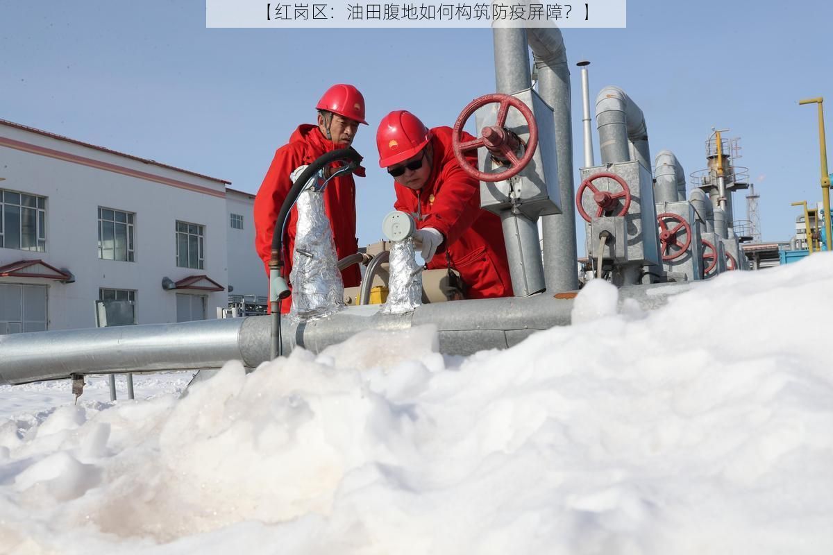 【红岗区:油田腹地如何构筑防疫屏障?】