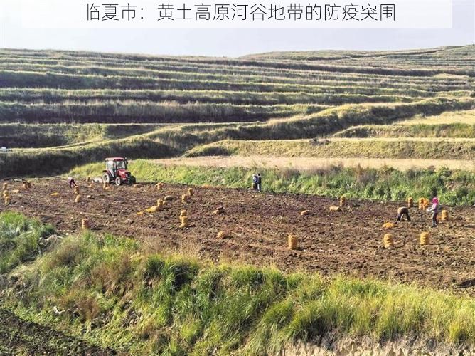 临夏市:黄土高原河谷地带的防疫突围