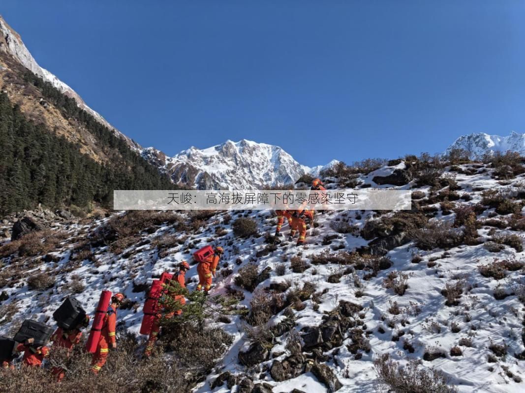 天峻:高海拔屏障下的零感染坚守