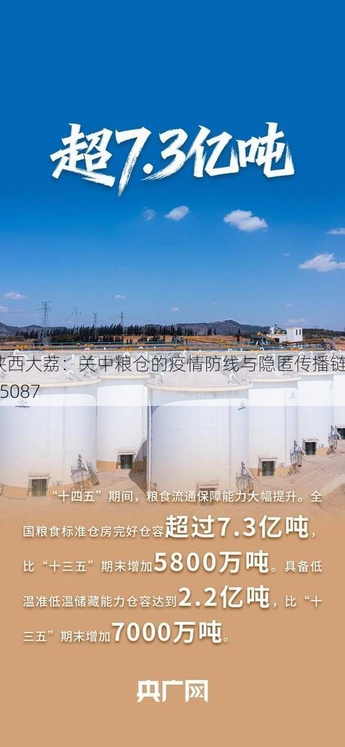 陕西大荔：关中粮仓的疫情防线与隐匿传播链_65087